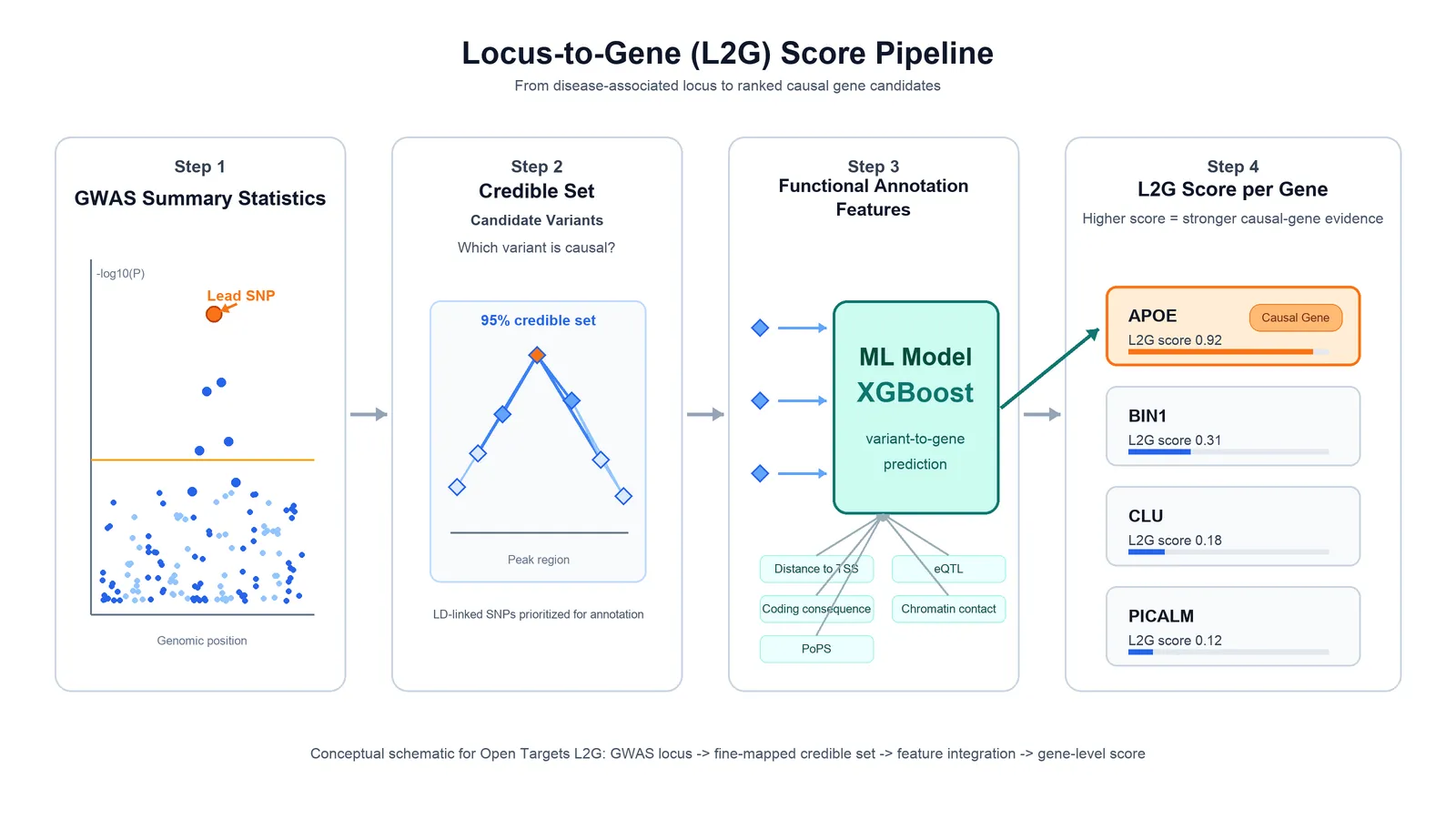 L2Gスコアのコンセプトフロー：GWAS統計からL2Gスコアへの4ステップ