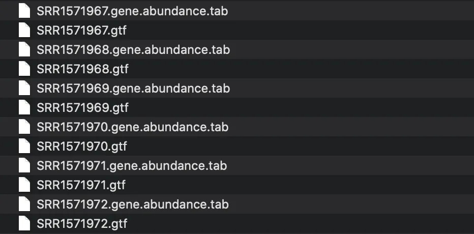 StringTie実行後、各サンプルの.gtfファイルと.gene.abundance.tabファイルが作業ディレクトリに作成された状態